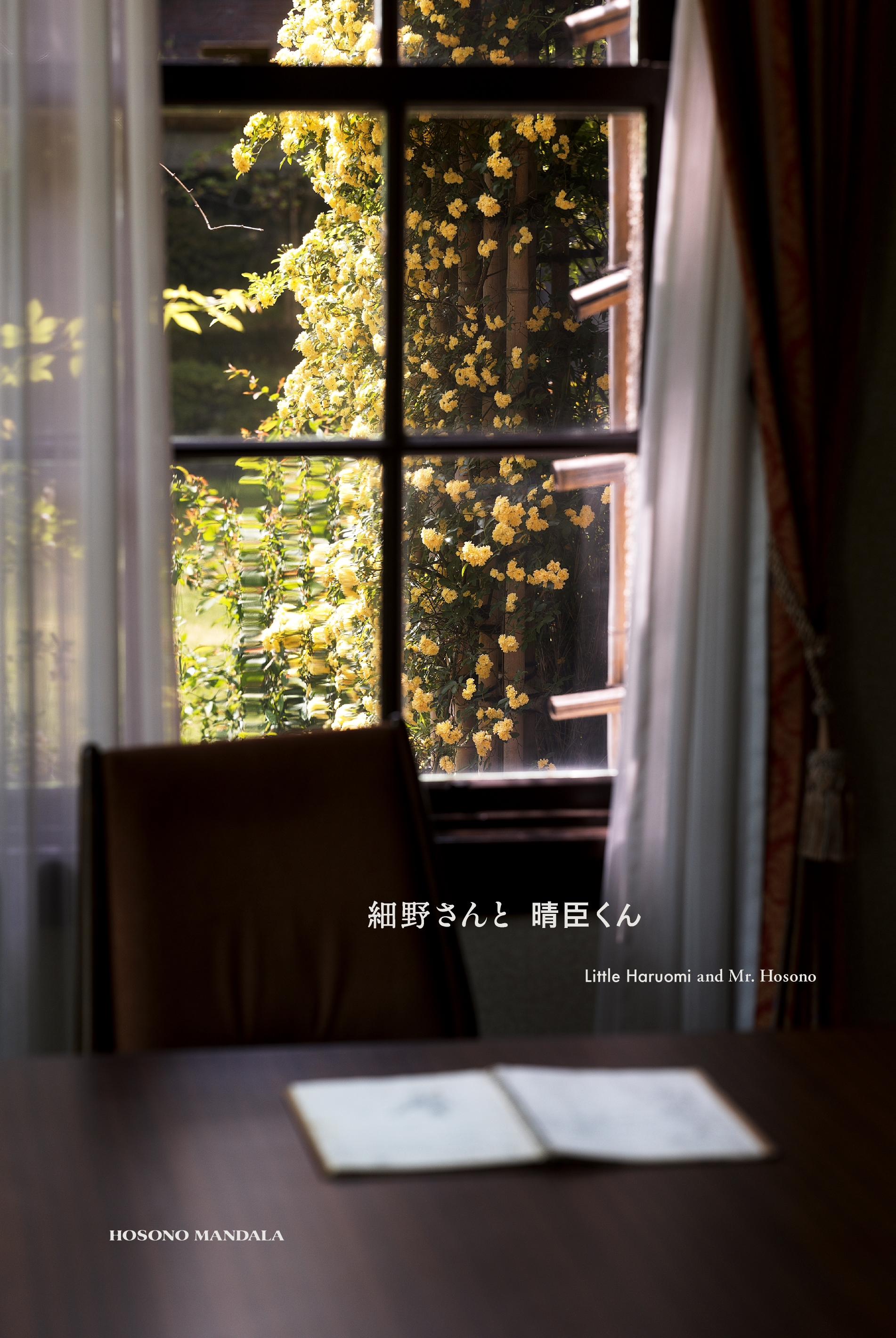 音楽