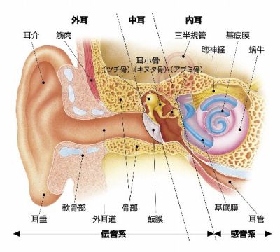 音楽