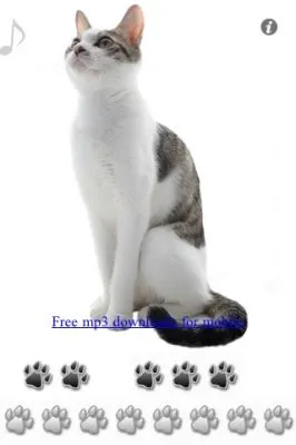 SingingCat